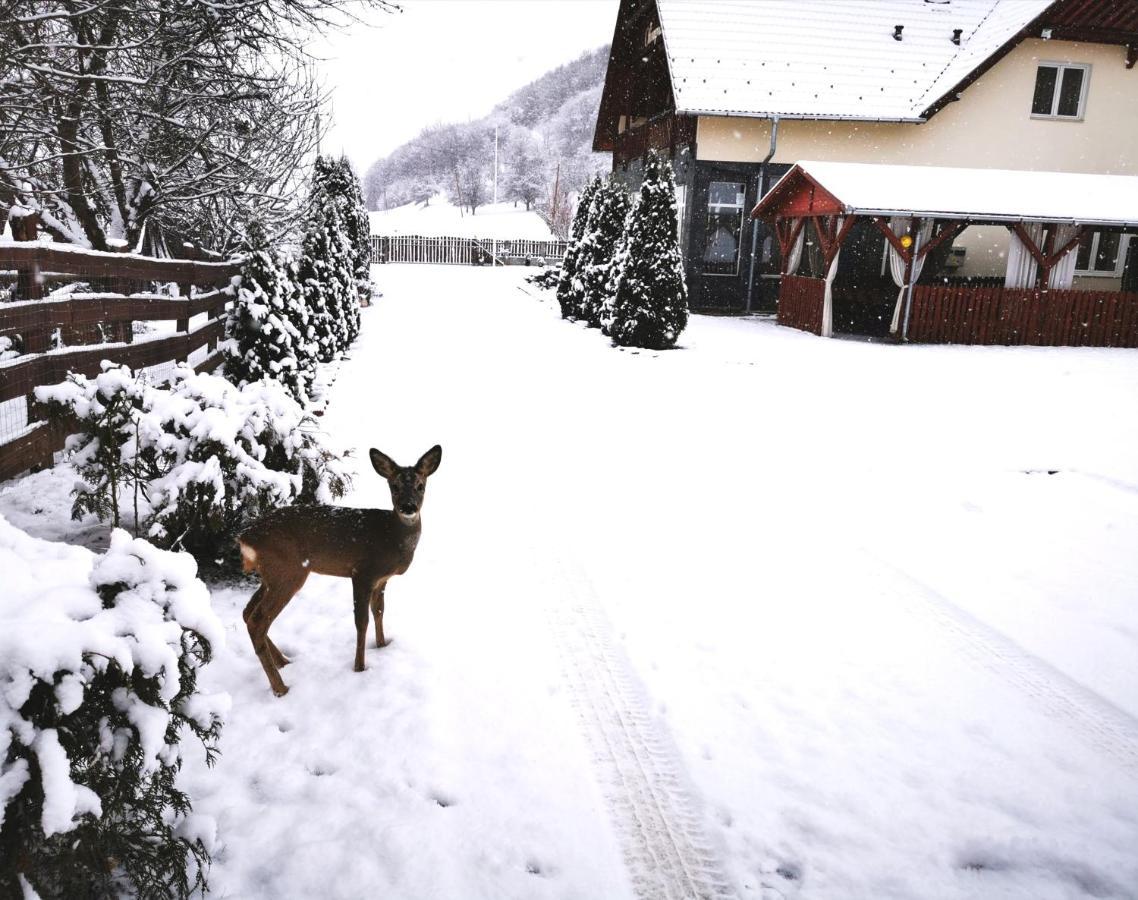 Olimpia Villa Tibod Exteriör bild